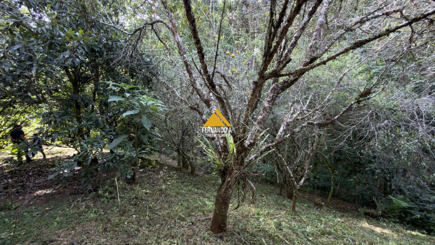Sítio / Chácara 3 quartos para Venda no bairro Zona Rural em Gramado
