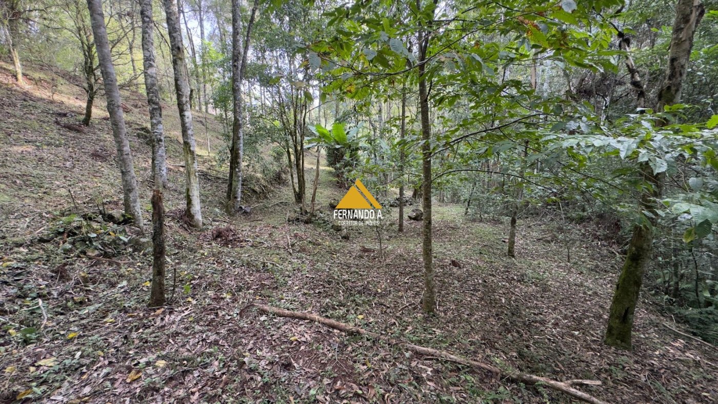 Sítio / Chácara 3 quartos para Venda no bairro Zona Rural em Gramado