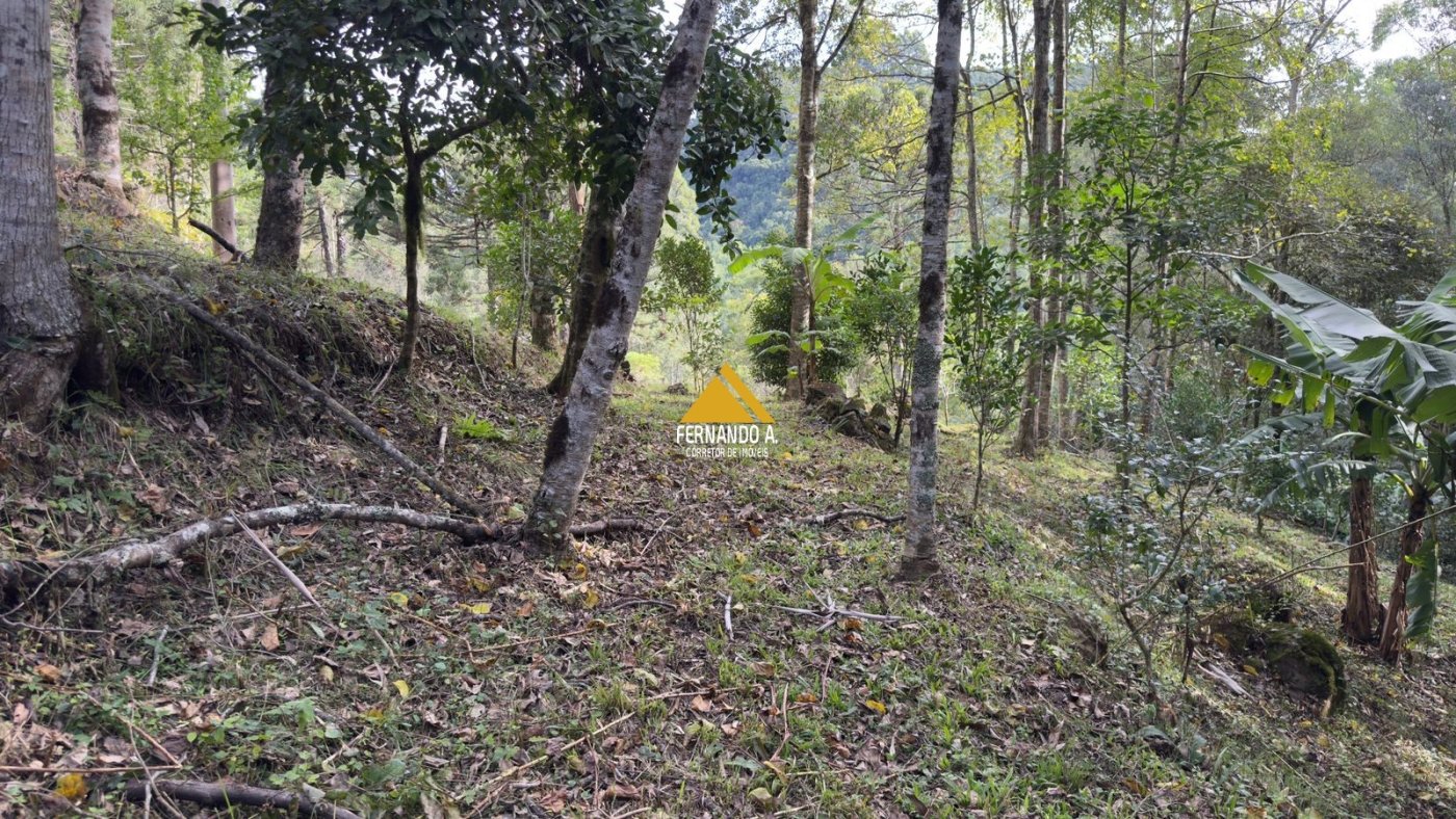 Sítio / Chácara 3 quartos para Venda no bairro Zona Rural em Gramado