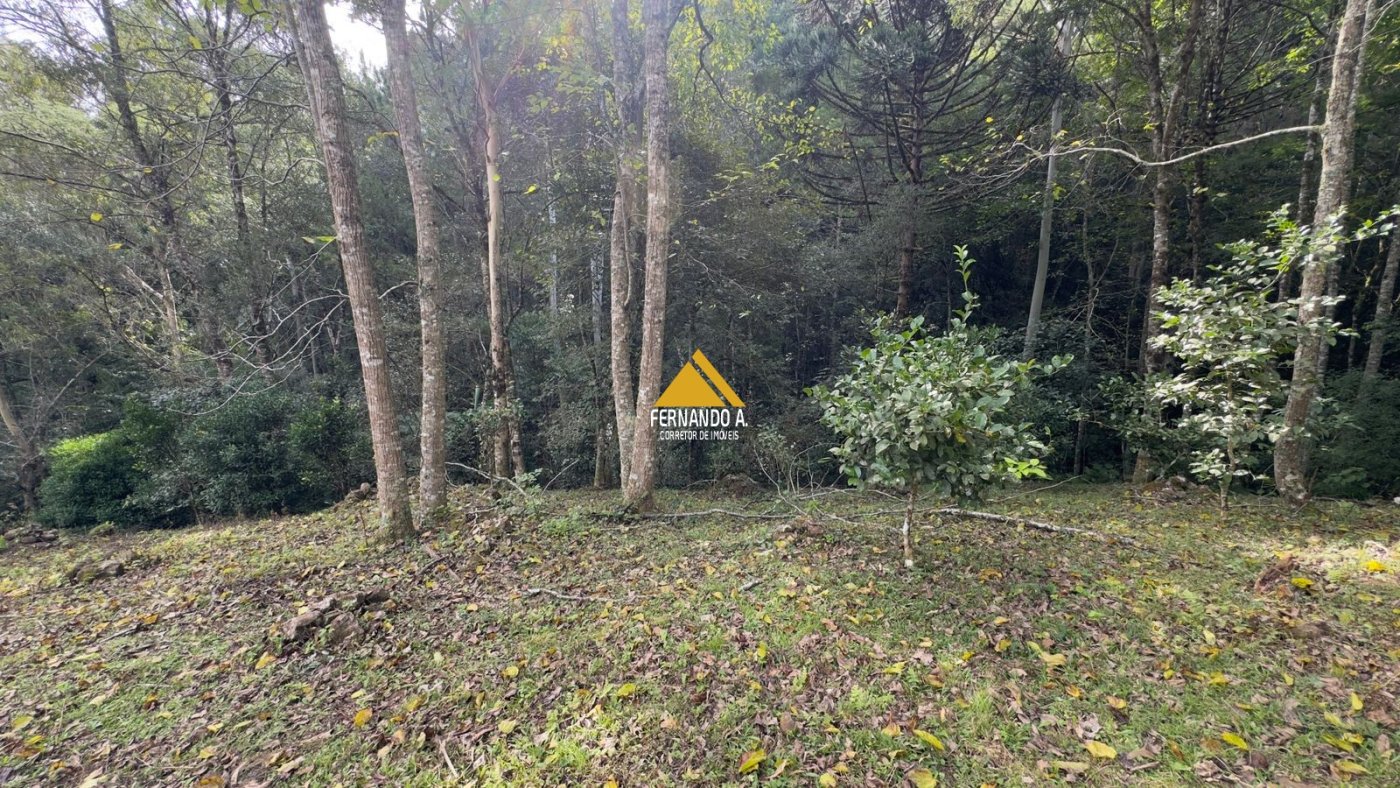 Sítio / Chácara 3 quartos para Venda no bairro Zona Rural em Gramado