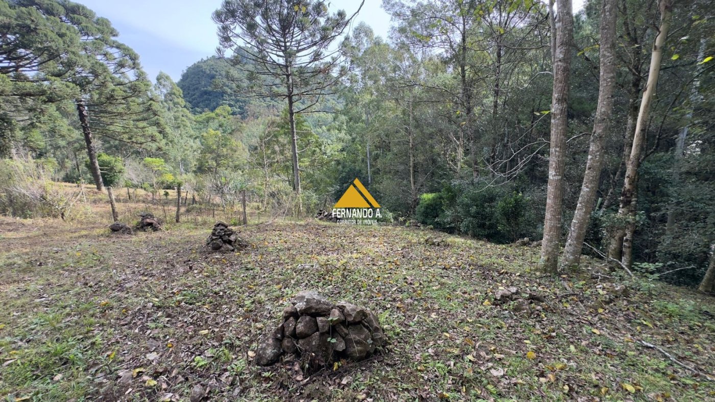 Sítio / Chácara 3 quartos para Venda no bairro Zona Rural em Gramado