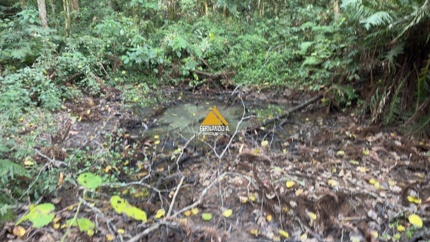 Sítio / Chácara 3 quartos para Venda no bairro Zona Rural em Gramado