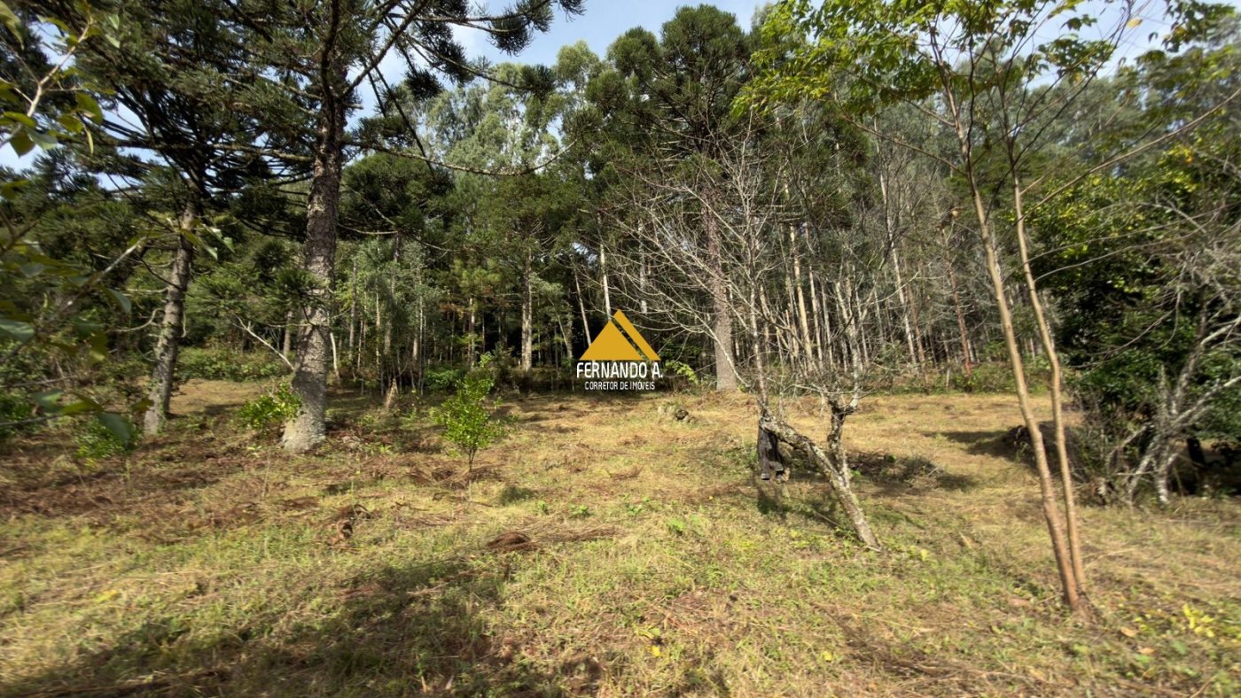 Sítio / Chácara 3 quartos para Venda no bairro Zona Rural em Gramado
