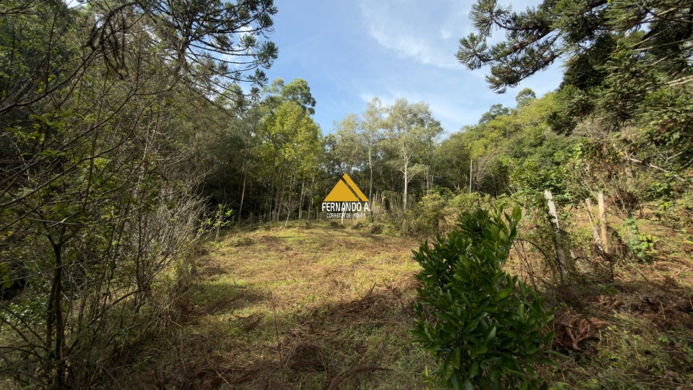Sítio / Chácara 3 quartos para Venda no bairro Zona Rural em Gramado