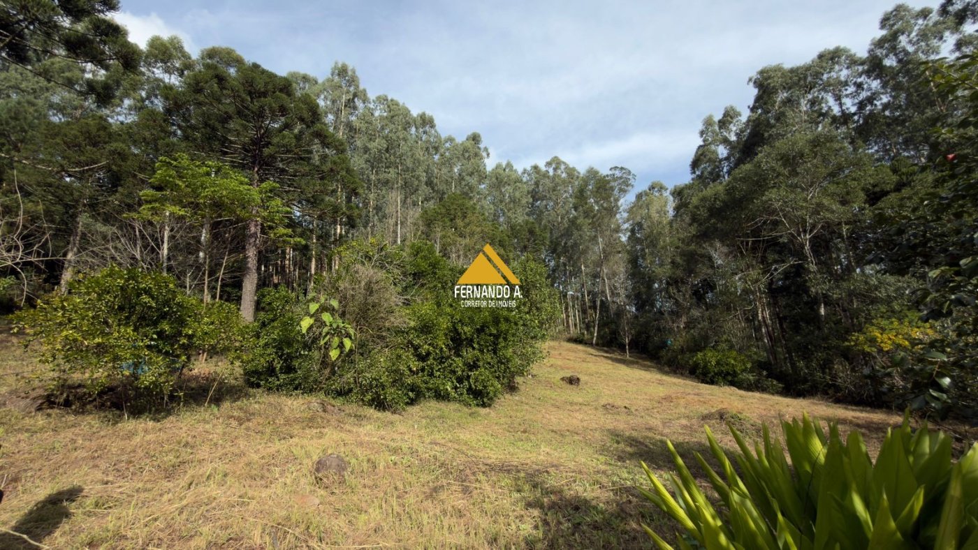 Sítio / Chácara 3 quartos para Venda no bairro Zona Rural em Gramado