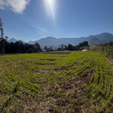 Sítio / Chácara para Venda no bairro Zona Rural em Nova Hartz