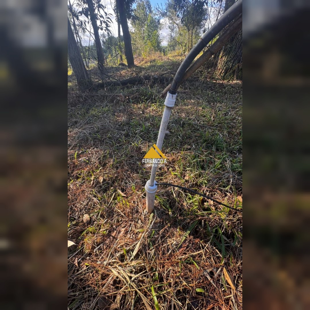 CHÁCARA À VENDA EM TAQUARA/RS – PAREDÃO ALTO 