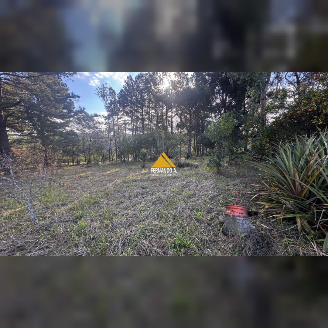 CHÁCARA À VENDA EM TAQUARA/RS – PAREDÃO ALTO 