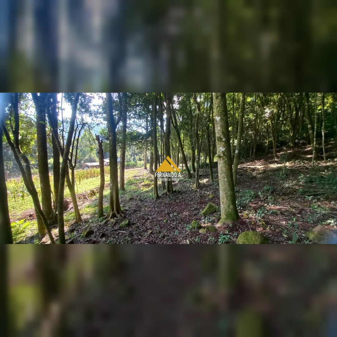 Sítio / Chácara para Venda no bairro Travessão em Dois Irmãos