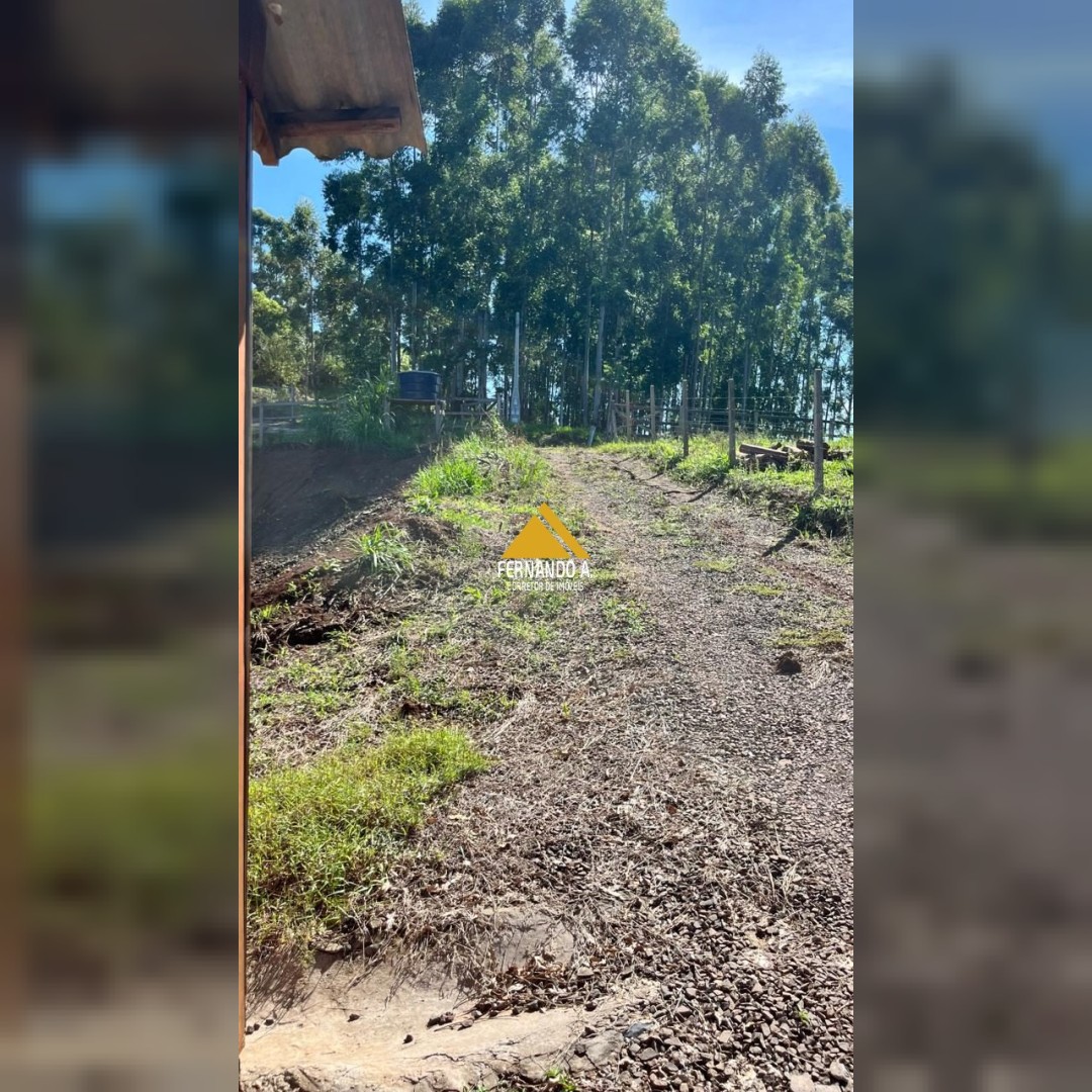 Sítio / Chácara para Venda no bairro Travessão em Dois Irmãos