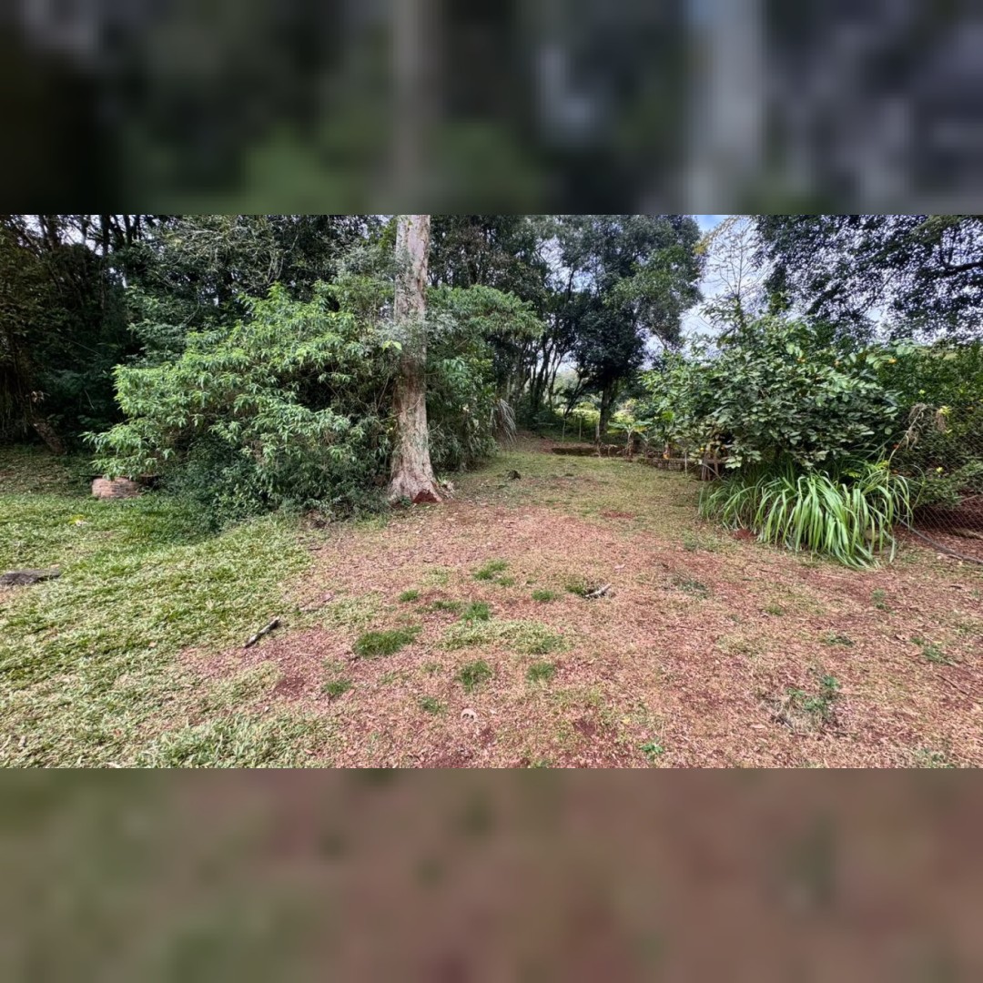 Sítio / Chácara 2 quartos para Venda no bairro Travessão em Dois Irmãos