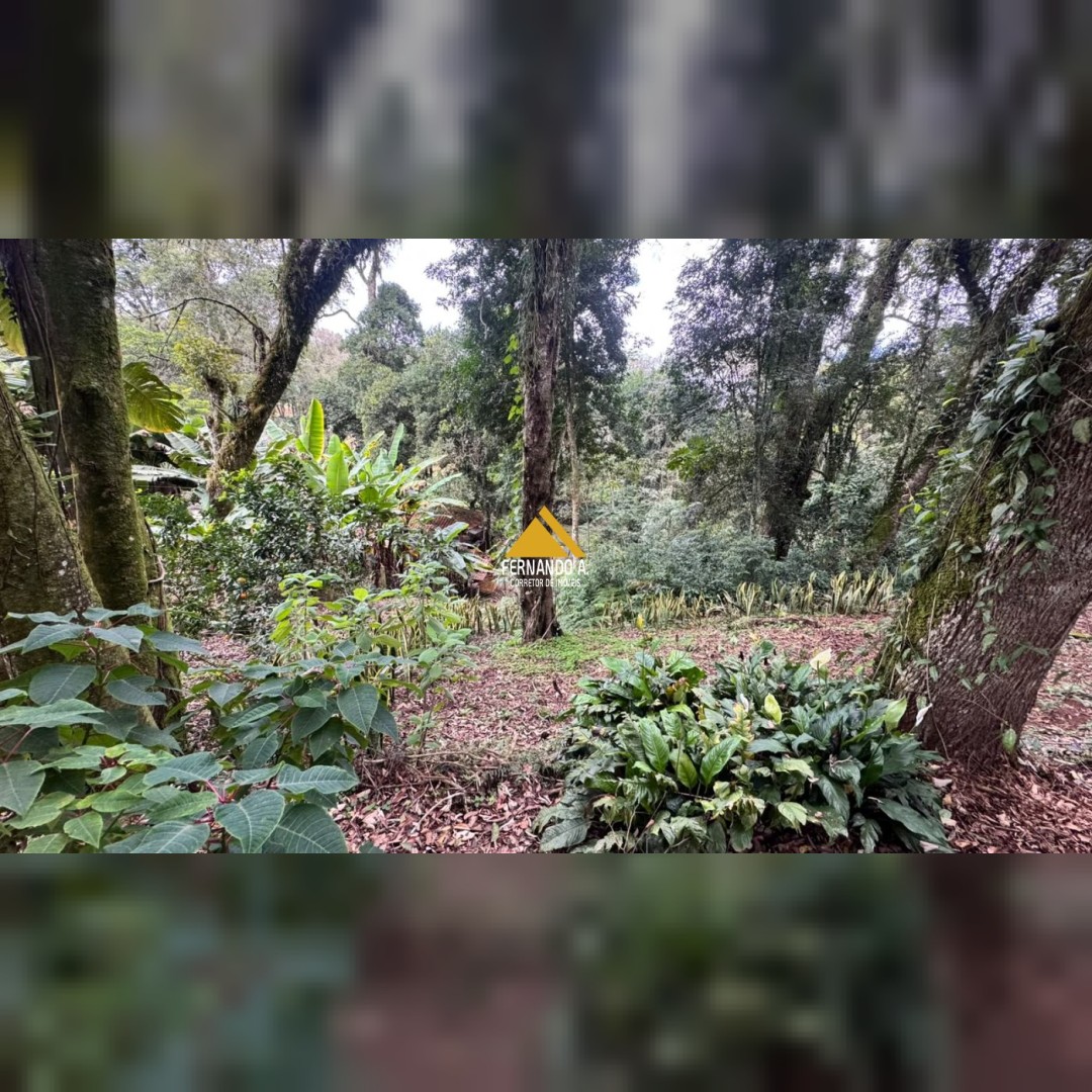 Sítio / Chácara 2 quartos para Venda no bairro Travessão em Dois Irmãos