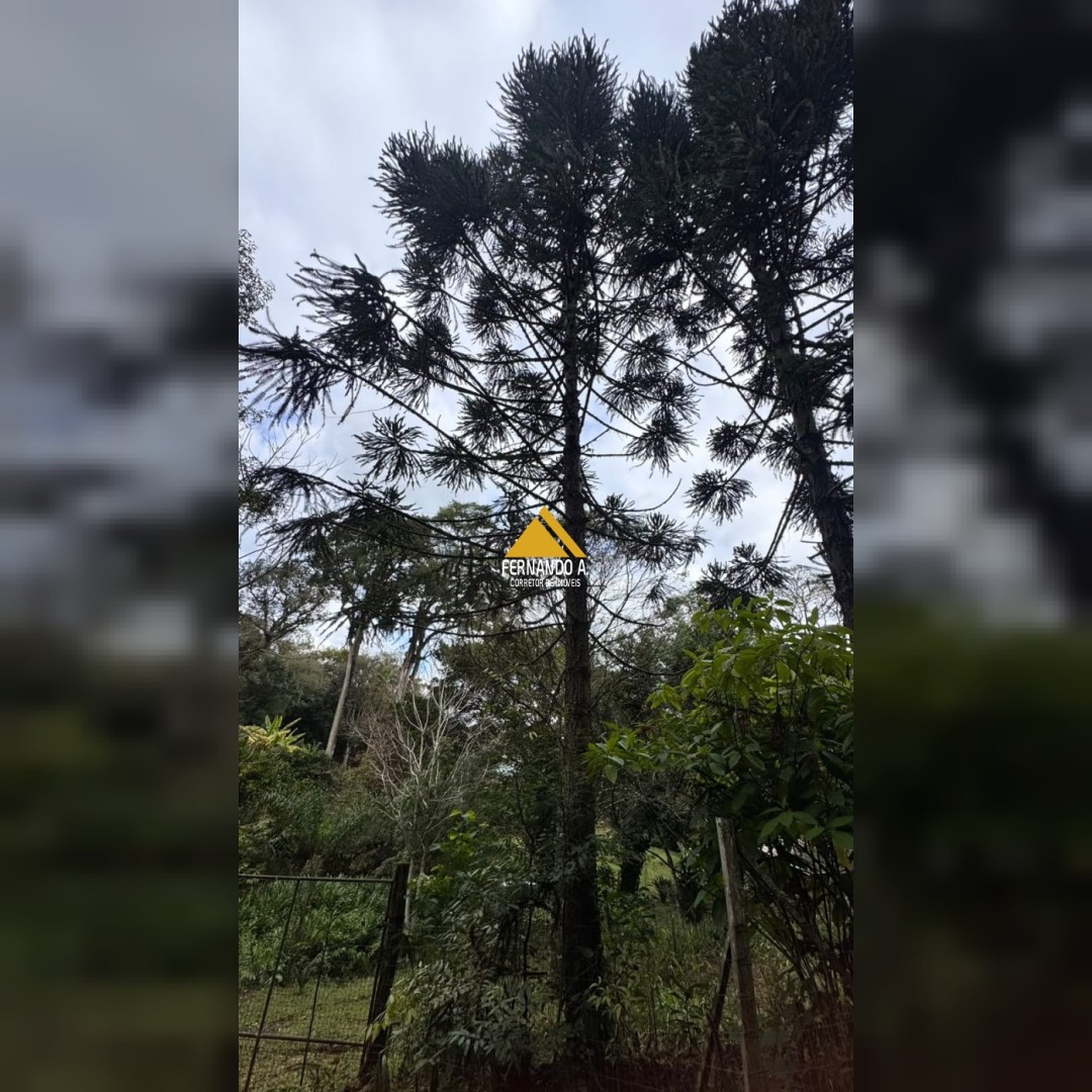 Sítio / Chácara 2 quartos para Venda no bairro Travessão em Dois Irmãos