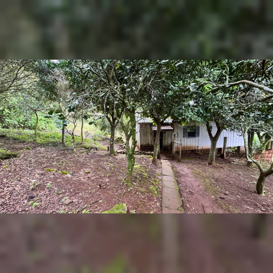 Chácara de 5.000m² em Nova Hartz – Linda Vista Panorâmica