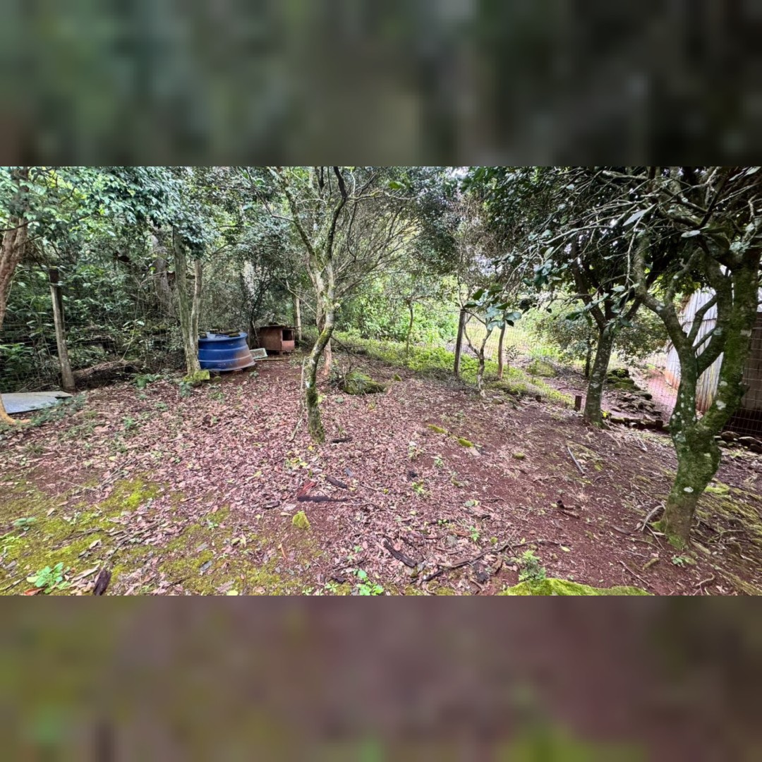 Chácara de 5.000m² em Nova Hartz – Linda Vista Panorâmica