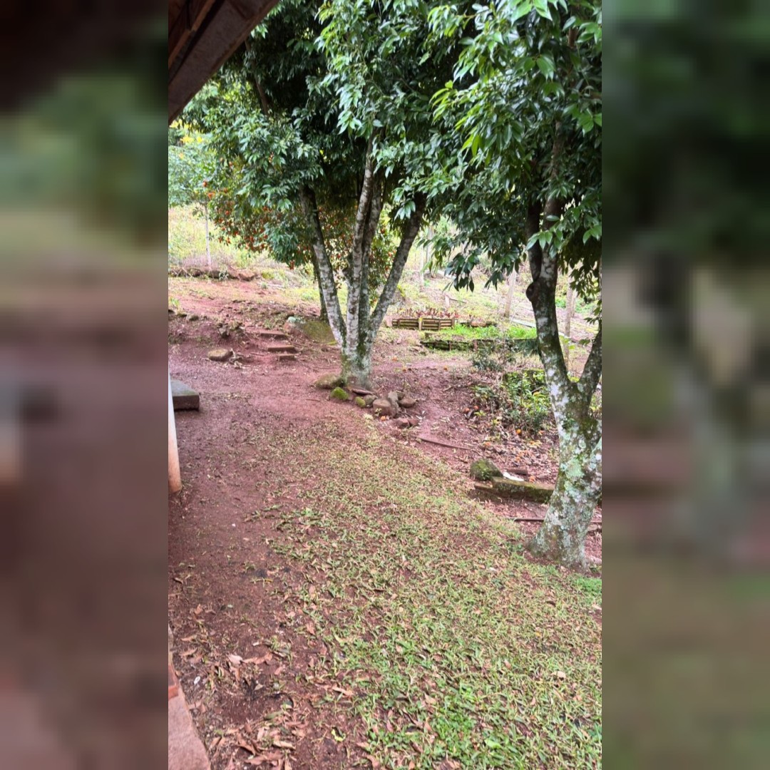 Chácara de 5.000m² em Nova Hartz – Linda Vista Panorâmica