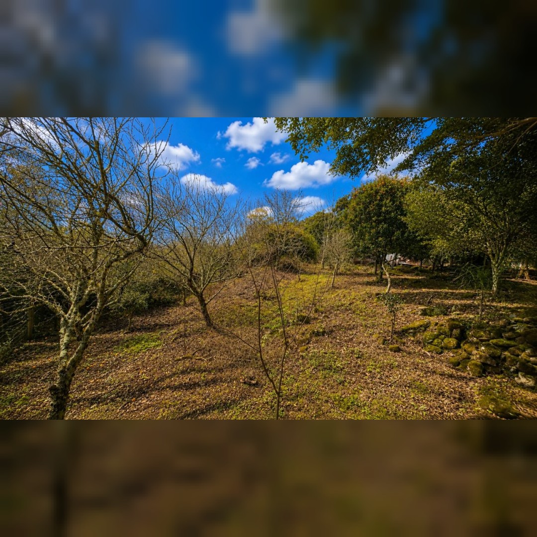 Chácara de 5.000m² em Nova Hartz – Linda Vista Panorâmica