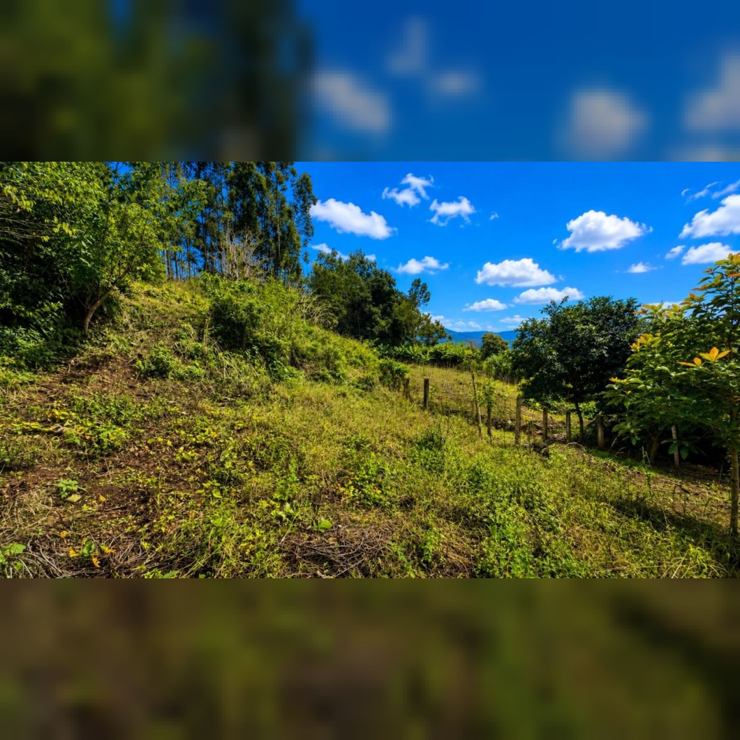 Chácara de 5.000m² em Nova Hartz – Linda Vista Panorâmica