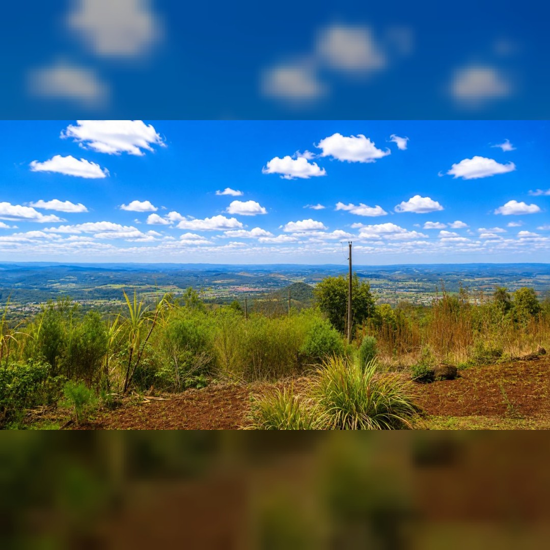 Chácara de 5.000m² em Nova Hartz – Linda Vista Panorâmica