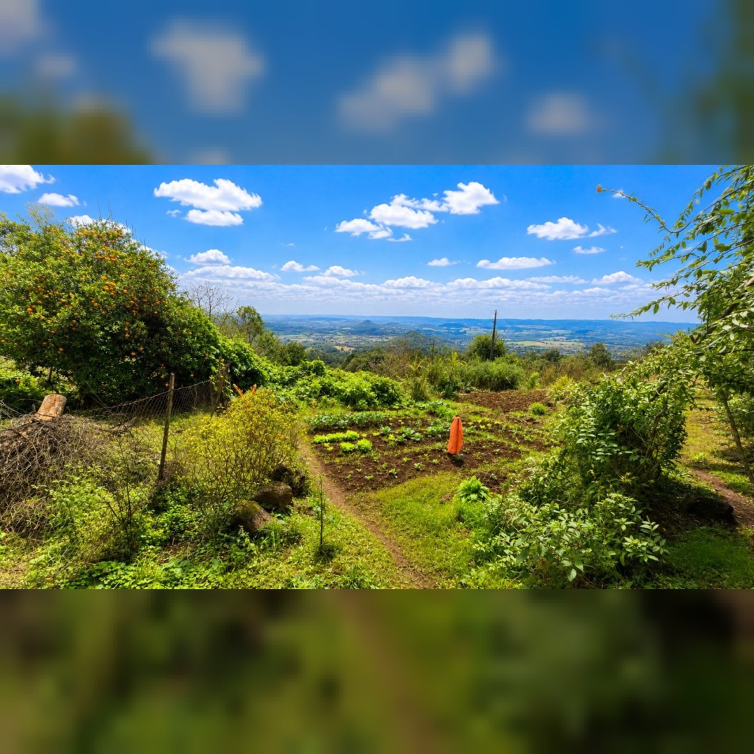 Chácara de 5.000m² em Nova Hartz – Linda Vista Panorâmica