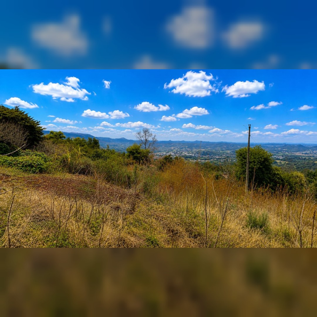 Chácara de 5.000m² em Nova Hartz – Linda Vista Panorâmica