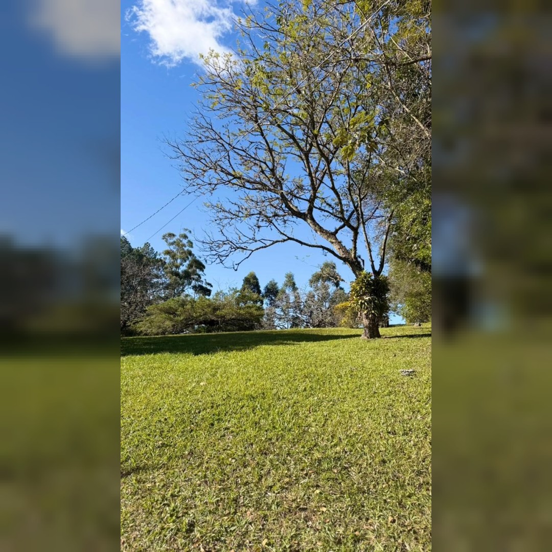 Sítio / Chácara para Venda no bairro Santa Cruz da Concórdia em Taquara/RS