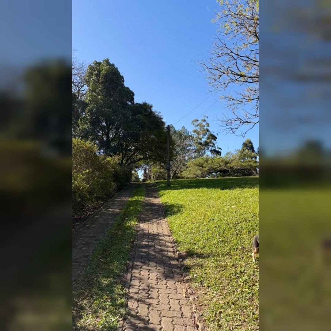 Sítio / Chácara para Venda no bairro Santa Cruz da Concórdia em Taquara/RS
