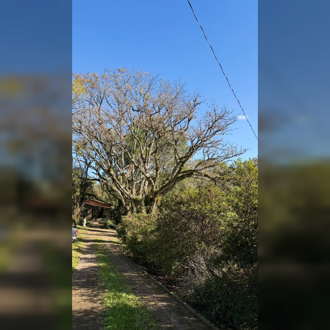 Sítio / Chácara para Venda no bairro Santa Cruz da Concórdia em Taquara/RS