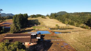 Sítio / Chácara 4 quartos para Venda no bairro Zona Rural em Ivoti