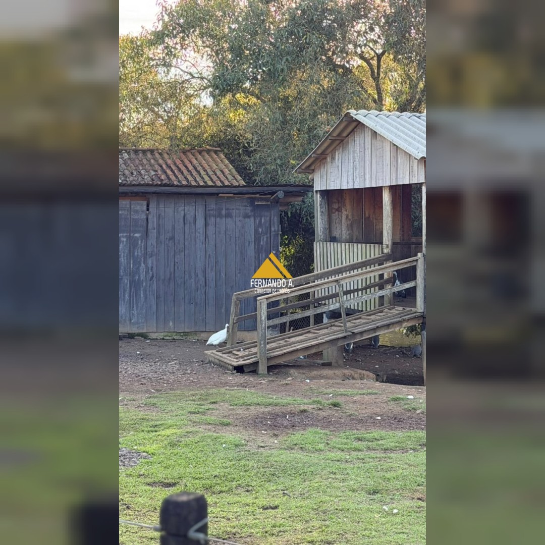 Sítio / Chácara 4 quartos para Venda no bairro Zona Rural em Ivoti