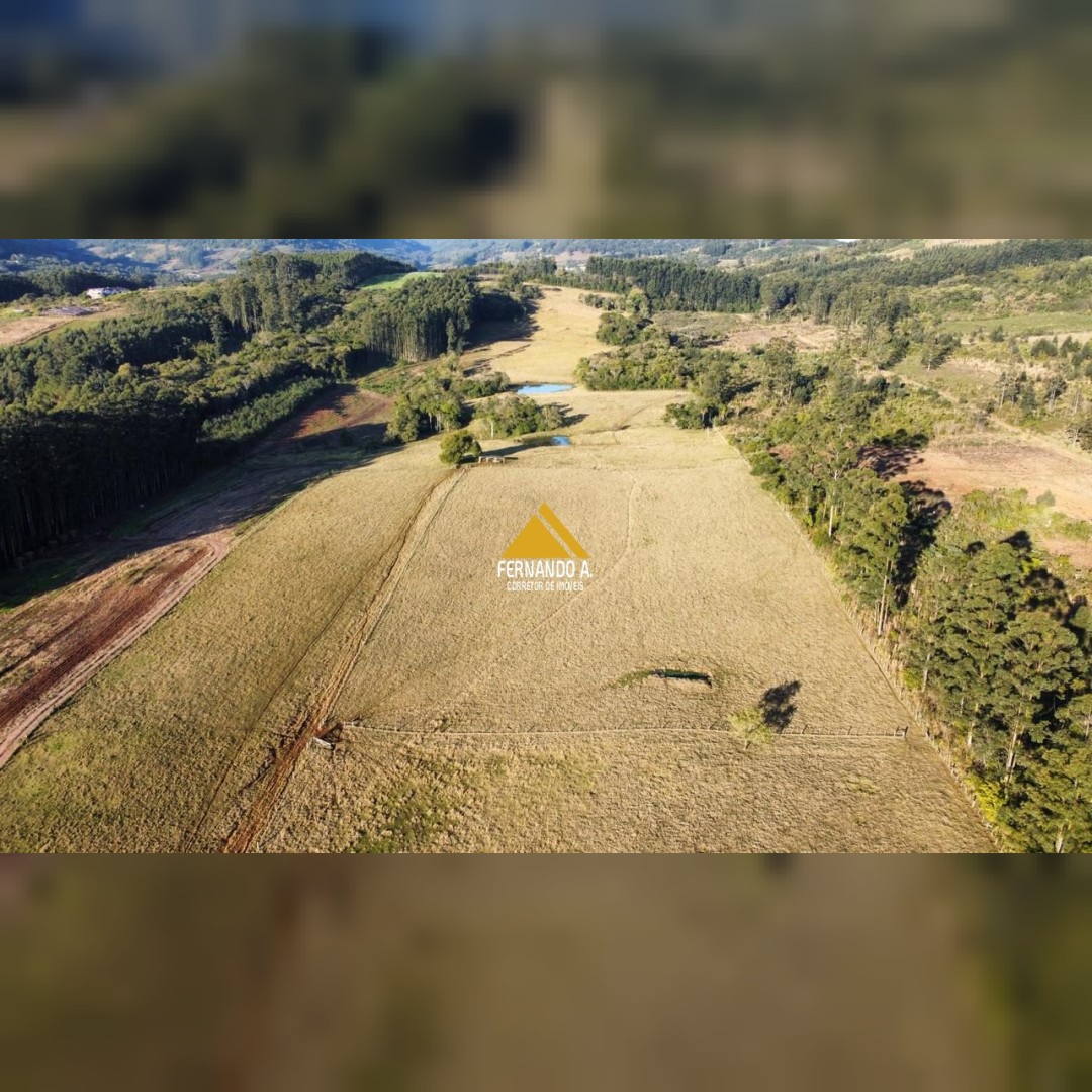 Sítio / Chácara 4 quartos para Venda no bairro Zona Rural em Ivoti