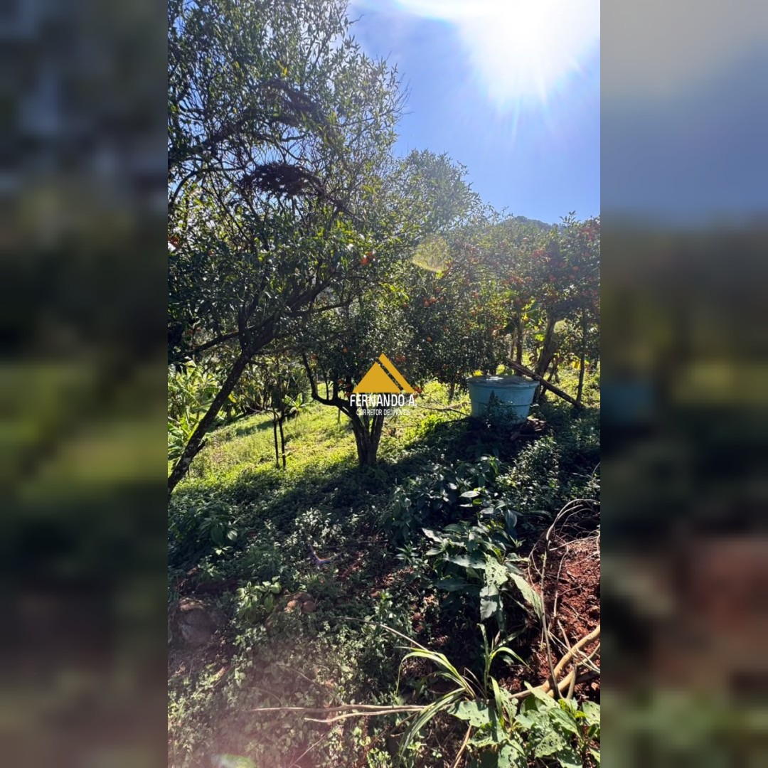 SÍTIO 7,5 HECTARES À VENDA EM MORRO REUTER/RS – CASA, GALPÃO E VISTA PANORÂMICA