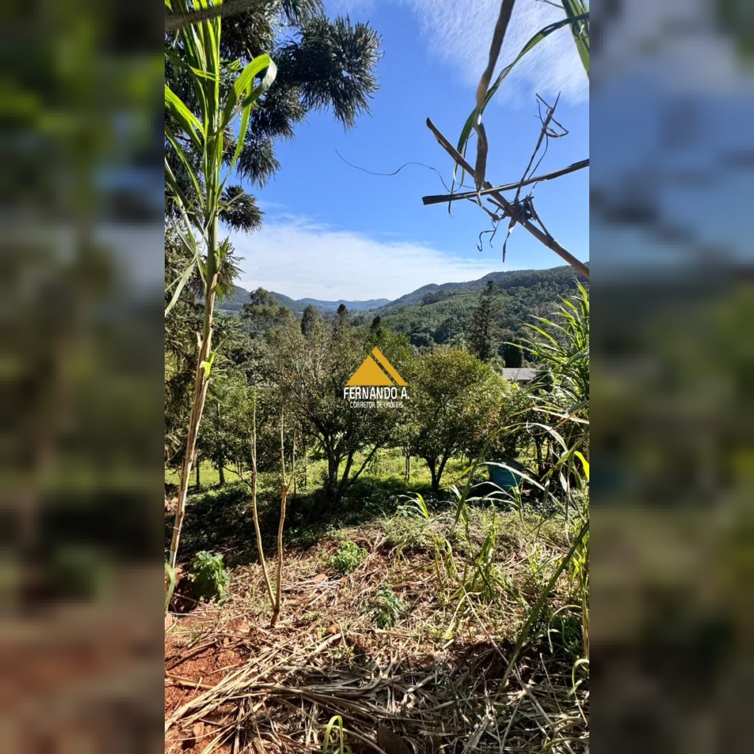 SÍTIO 7,5 HECTARES À VENDA EM MORRO REUTER/RS – CASA, GALPÃO E VISTA PANORÂMICA