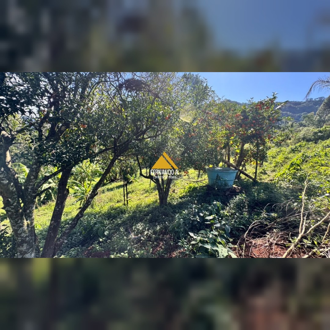 SÍTIO 7,5 HECTARES À VENDA EM MORRO REUTER/RS – CASA, GALPÃO E VISTA PANORÂMICA