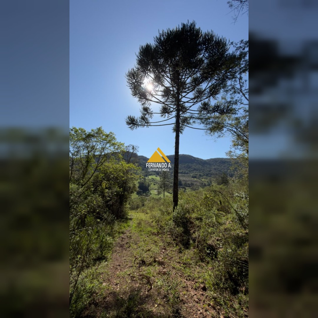 SÍTIO À VENDA EM GRAMADO/RS - 27 HECTARES - POTENCIAL TURÍSTICO - VISTA PARA O RIO CAÍ