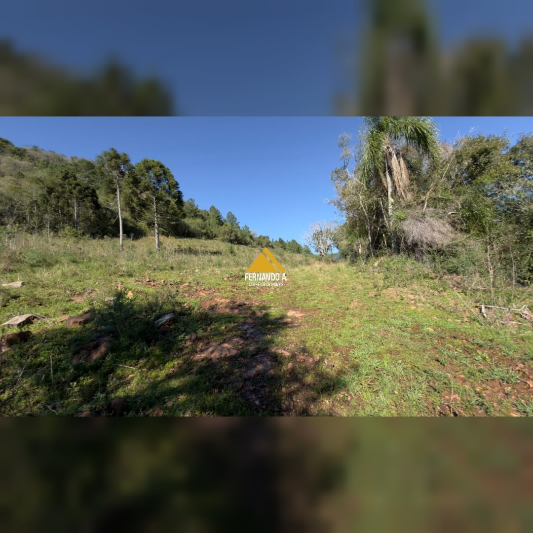 SÍTIO À VENDA EM GRAMADO/RS - 27 HECTARES - POTENCIAL TURÍSTICO - VISTA PARA O RIO CAÍ