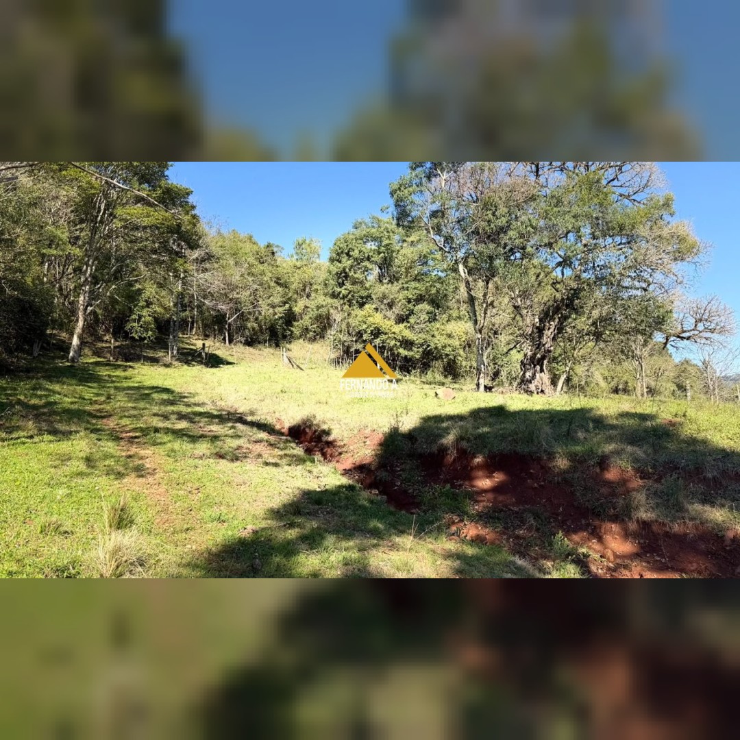 SÍTIO À VENDA EM GRAMADO/RS - 27 HECTARES - POTENCIAL TURÍSTICO - VISTA PARA O RIO CAÍ