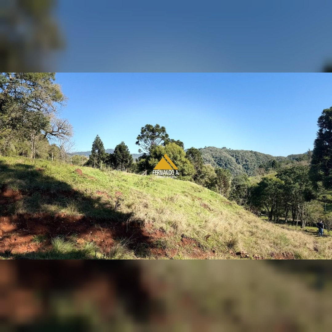 SÍTIO À VENDA EM GRAMADO/RS - 27 HECTARES - POTENCIAL TURÍSTICO - VISTA PARA O RIO CAÍ