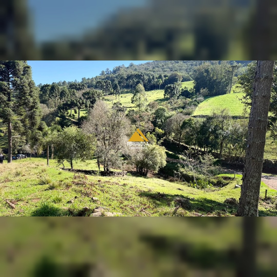 SÍTIO À VENDA EM GRAMADO/RS - 27 HECTARES - POTENCIAL TURÍSTICO - VISTA PARA O RIO CAÍ