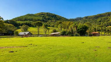 SÍTIO EXCLUSIVO À VENDA EM GRAMADO/RS - 24 HECTARES