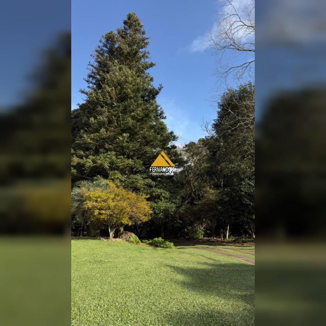 Sítio / Chácara 2 quartos para Venda no bairro Planalto em Morro Reuter