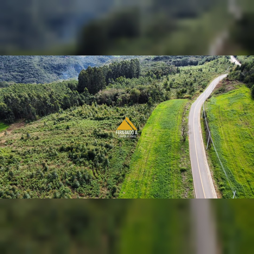 SÍTIO À VENDA EM GRAMADO - 5,4 HECTARES - FRENTE PARA O ASFALTO
