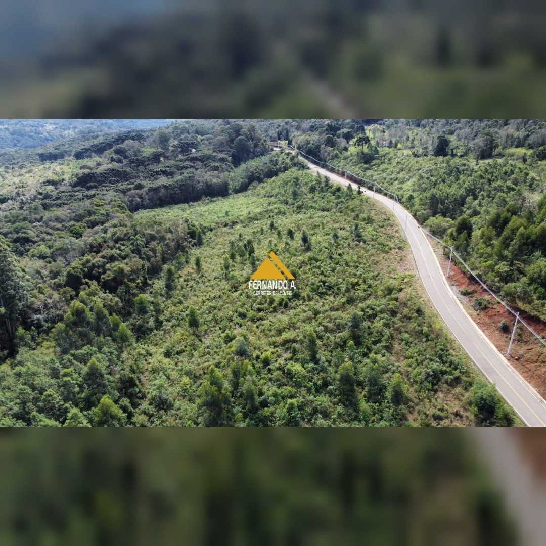 SÍTIO À VENDA EM GRAMADO - 5,4 HECTARES - FRENTE PARA O ASFALTO