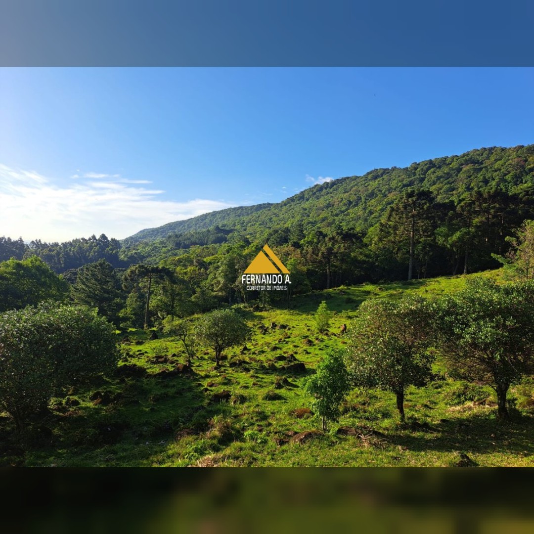 Sítio / Chácara para Venda no bairro Samambaia em São Francisco de Paula