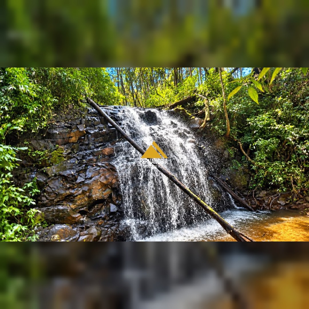 SÍTIO À VENDA EM DOIS IRMÃOS – 4,5 HECTARES COM RIO, CASCATA E NATUREZA