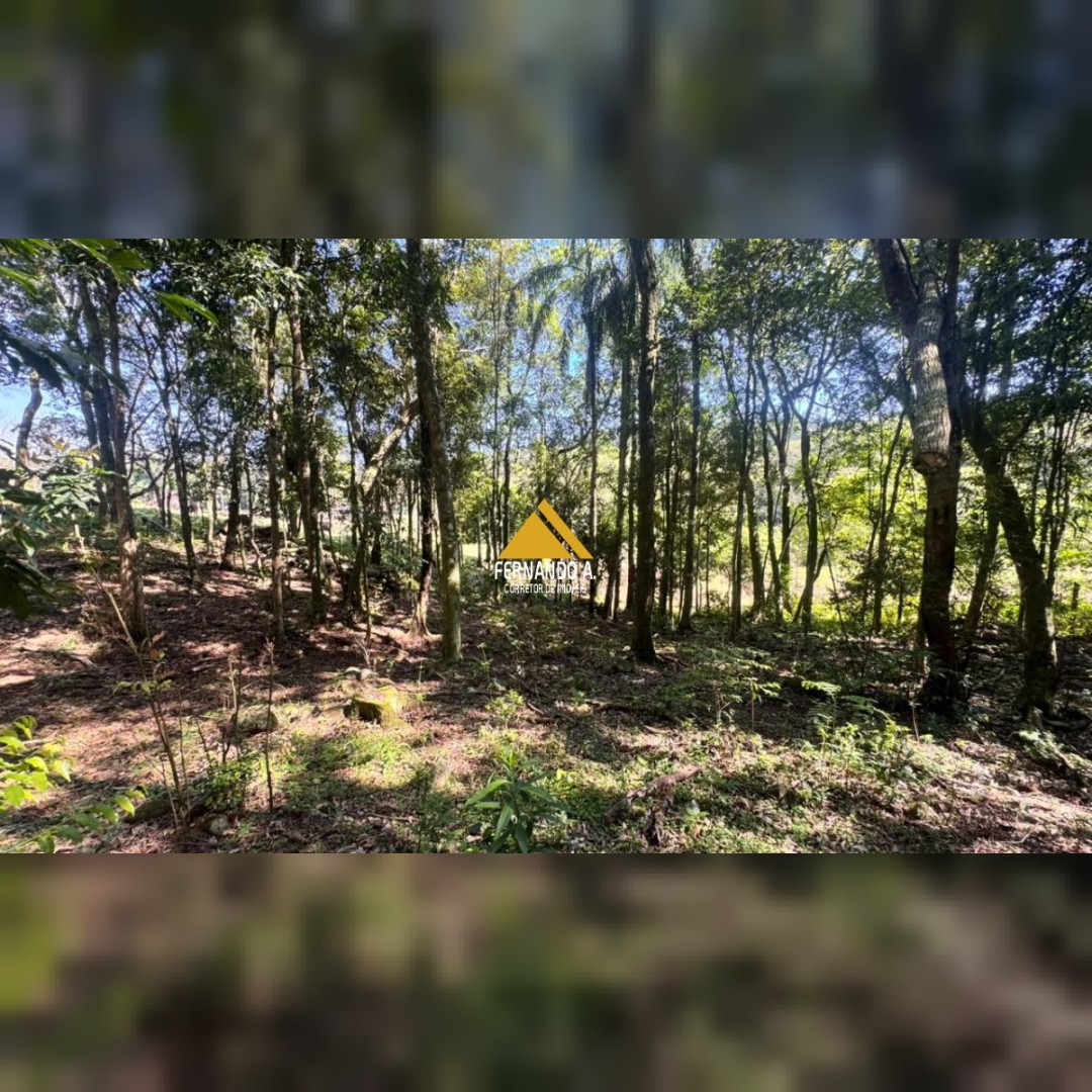 SÍTIO À VENDA EM DOIS IRMÃOS – 4,5 HECTARES COM RIO, CASCATA E NATUREZA