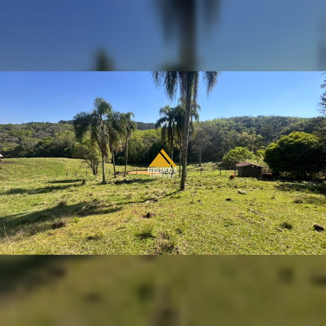 SÍTIO À VENDA EM DOIS IRMÃOS – 4,5 HECTARES COM RIO, CASCATA E NATUREZA