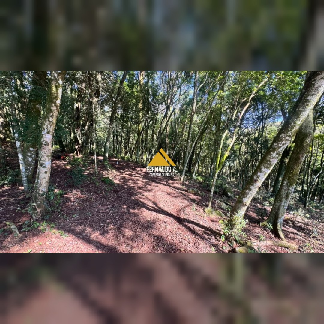 SÍTIO À VENDA EM DOIS IRMÃOS – 4,5 HECTARES COM RIO, CASCATA E NATUREZA
