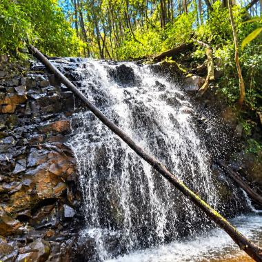 SÍTIO À VENDA EM DOIS IRMÃOS – 4,5 HECTARES COM RIO, CASCATA E NATUREZA