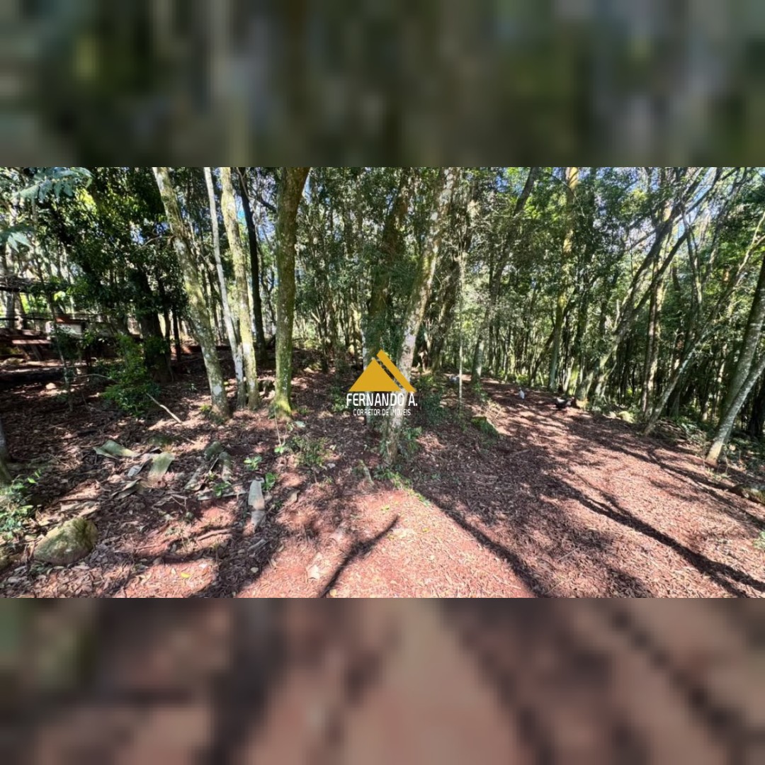 SÍTIO À VENDA EM DOIS IRMÃOS – 4,5 HECTARES COM RIO, CASCATA E NATUREZA